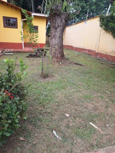 Serviço de jardinagem