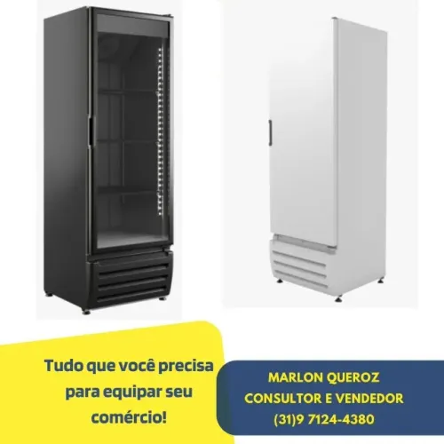Freezer Congelador Vertical Braslar