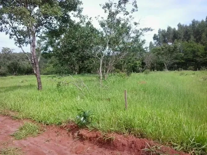 VENDO 03 CHÁCARAS DE  2000 mts² CADA, CONDOMINIO RECANTO DOS SONHOS - FAZENDA CAMPO ALEGRE