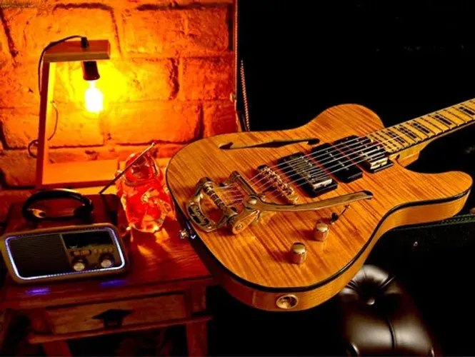 Guitarra Telecaster Thinline com Bigsby N. Zaganin Custom com case