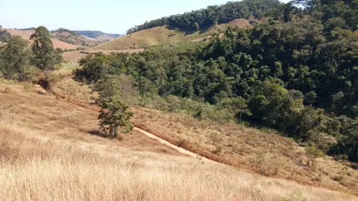 Aluga-se Terreno para Pastagem - Local -Esquenta Sol.