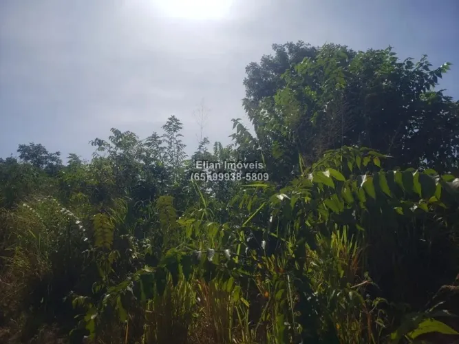 Terreno à venda em zona rural em Santo Antônio de Leverger-MT