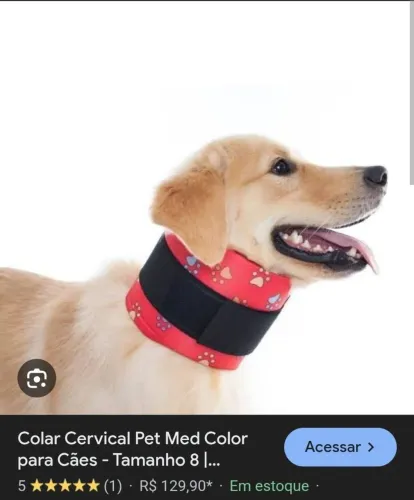 Colar Cervical Pet Med Color para Cães 