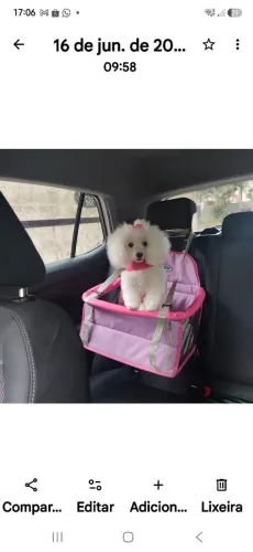 Cadeira para carro/pet