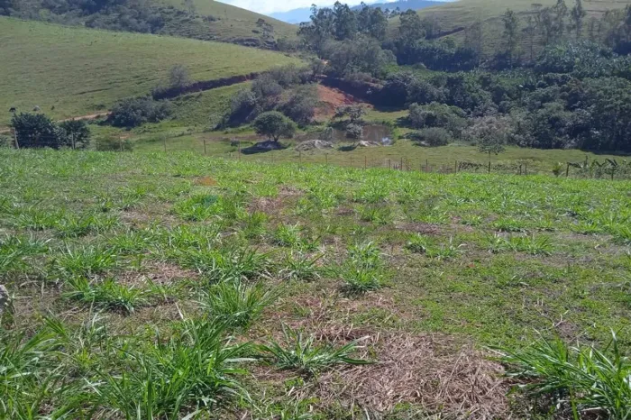 CHÁCARA À VENDA EM GOEMBÊ