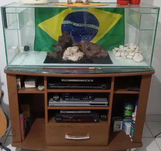 Aquário Doméstico