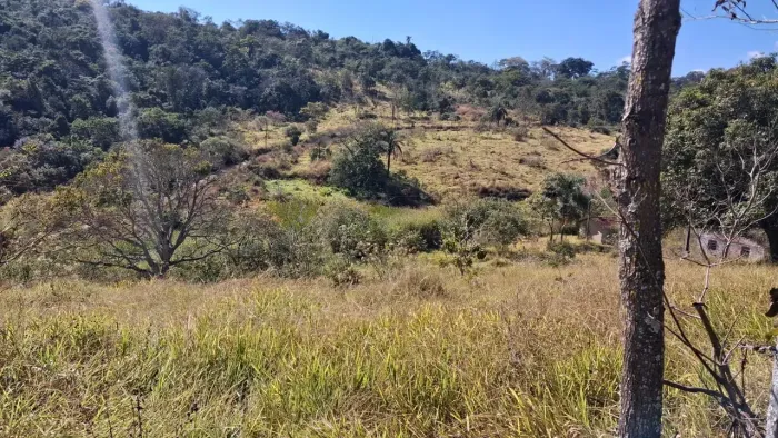 FAZENDA DE 40 HECTARES REGIÃO RURAL de Pará de Minas - MG.