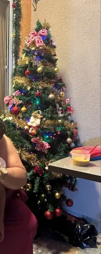 Vendo tudo de decoração natalina