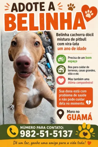 Adoção
