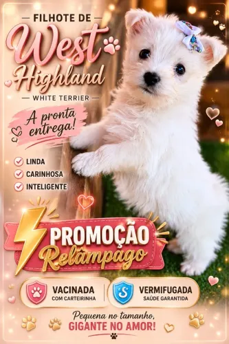 Seu novo melhor amigo está esperando por você