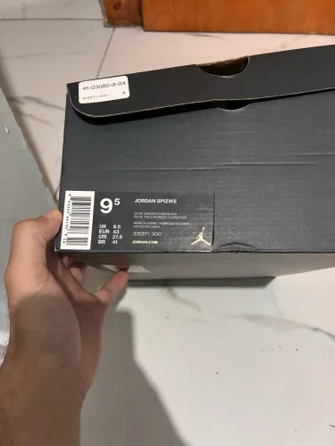 Nike Jordan Spizike