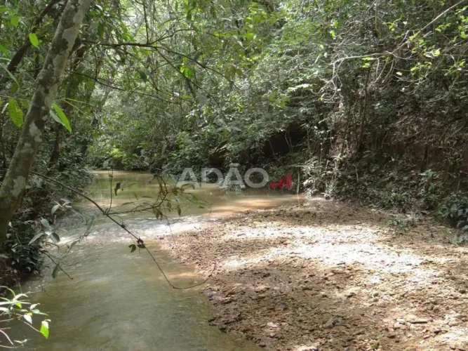 Oportunidade de Investimento: Fazenda Premium ao Lado da Cachoeira do Maratá - ACEITA PERM