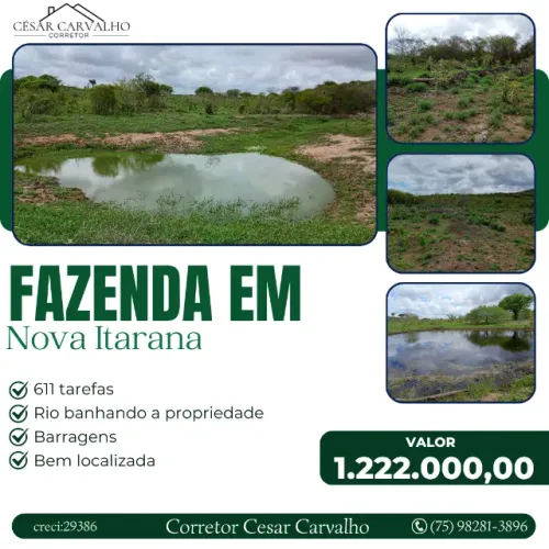 FAZENDA EM NOVA ITARANA - 611 TAREFAS