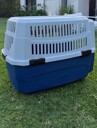 Caixa Rígida para Cão Grande