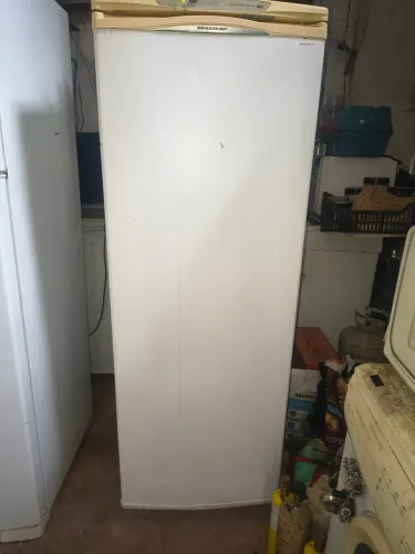 Freezer Brastemp 