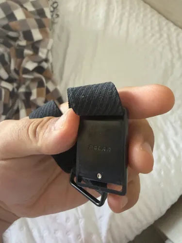 Polar Loop 2