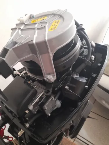 Motor de popa mercury 9.9 zero