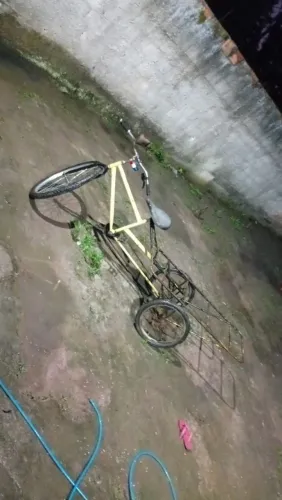 Bicicleta triciclo de carga 