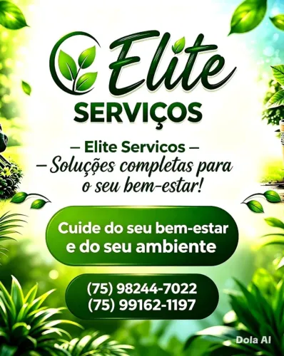 Melhores serviços de jardinagem e lavagem a seco