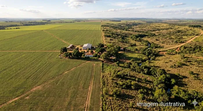 OPORTUNIDADE EM IBIÁ: 228 Hectares de Solo Premium e Abundância de Água!
