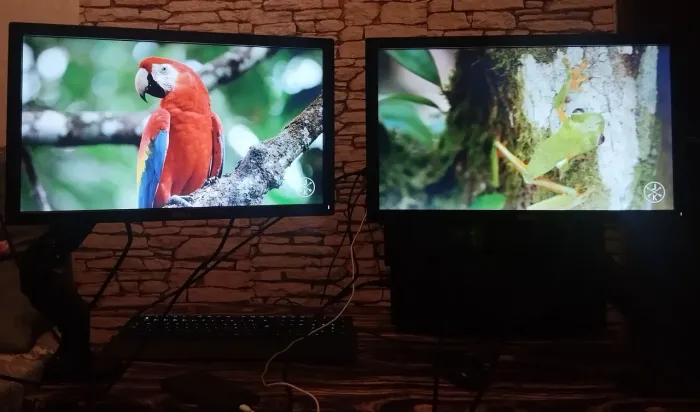Kit 2 Monitores Dell Led E1916Hf + 2 Suportes de Monitor Articulados NF - Funcionando