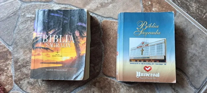 LOTE - LIVROS - BÍBLIA - BÍBLIAS SAGRADAS