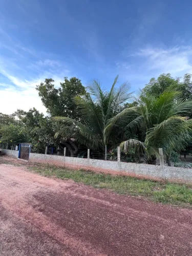 Sítio em Altos pi / fazenda /casa 3 quartos 