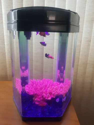 Aquário Boyu completo 30 litros