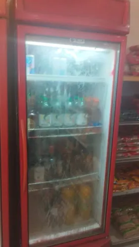 Freezer vertical