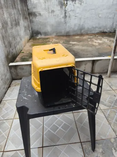 Caixa para transporte cães e gatos até 20kg