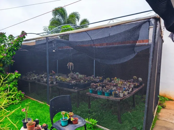 ESTUFA 6×3m + SUCULENTAS, CACTOS, VASOS E BANCADAS - KIT COMPLETO!