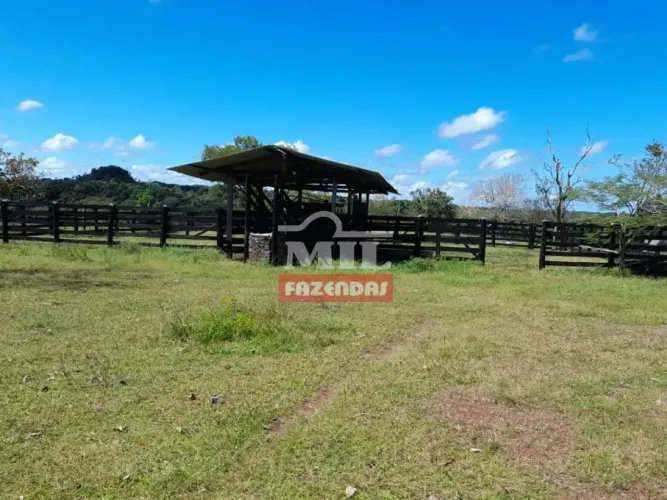 Fazenda 93 alqueires (450 hectares) Recursolândia - To