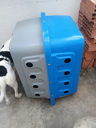 casinha de cachorro
