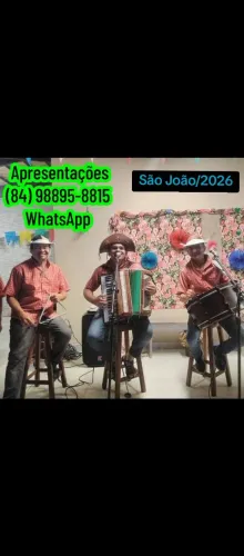 Trio (sanfoneiro) * só WhatsApp.