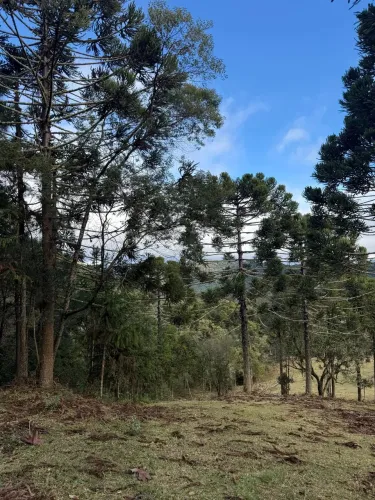 Terreno de 2 hectares em Zona Rural, Urubici - SC