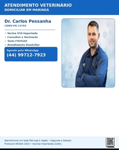 Atendimentos veterinários a domicílio