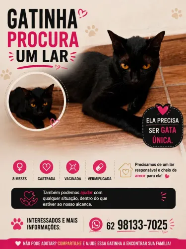 Adoção responsável