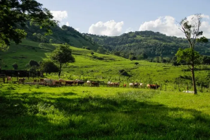 Fazenda Porteira Fechada