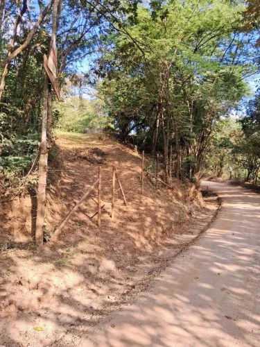 Melhor lote de Honório Bicalho