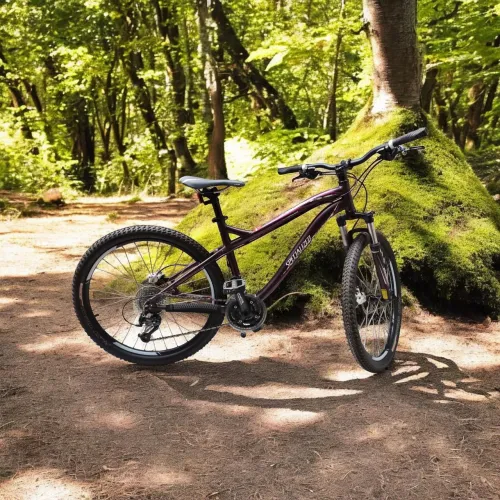Bike Specialized Myka Sport Disc Roxa Tam 17
