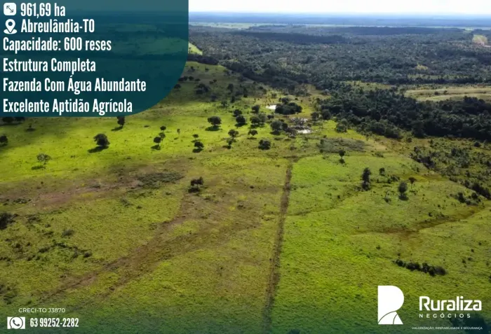 199 ALQUEIRES | 585 HA DE PASTAGENS | CAPACIDADE PARA 600 RESES
