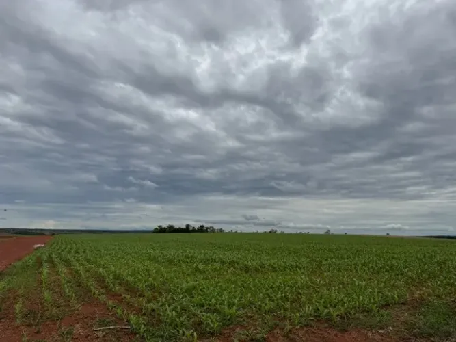 Fazenda dupla aptidão (soja e gado) a venda no Núcleo Rural Rio Preto/DF
