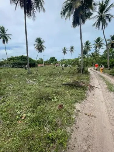 Terreno à venda em Mangue Seco - BA.