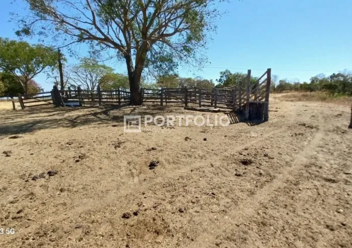 Fazenda à venda com 46 alqueires na Zona Rural de Jaraguá, GO