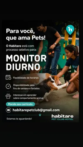 Vaga Monitor de cães