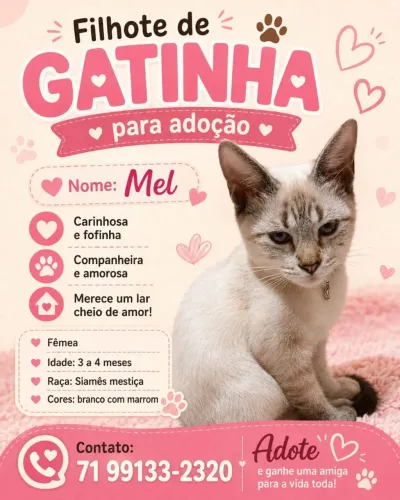 Ei mim adota 