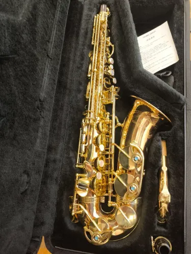 Sax Alto Yanagisawa Wo2 Japan