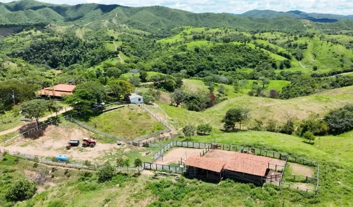 FAZENDA PADRE BERNARDO 210 ALQUEIRES | 8 KM DE RIO | 110 KM DE BRASÍLIA |