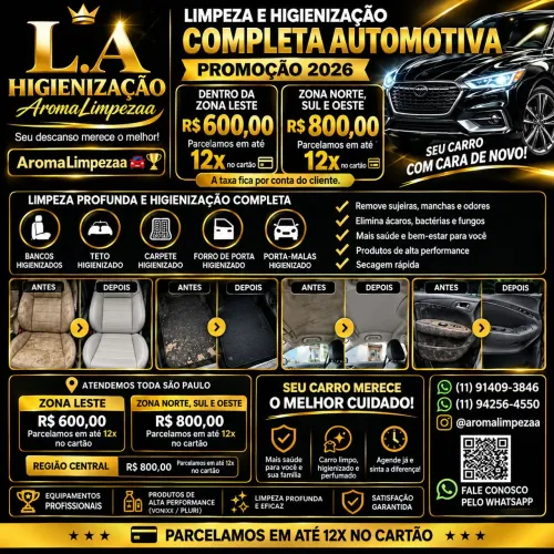Limpeza e higienizacão profissional completa automotiva ?