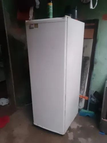 Vendo essa geladeira 350, motivo porque ganhei outra